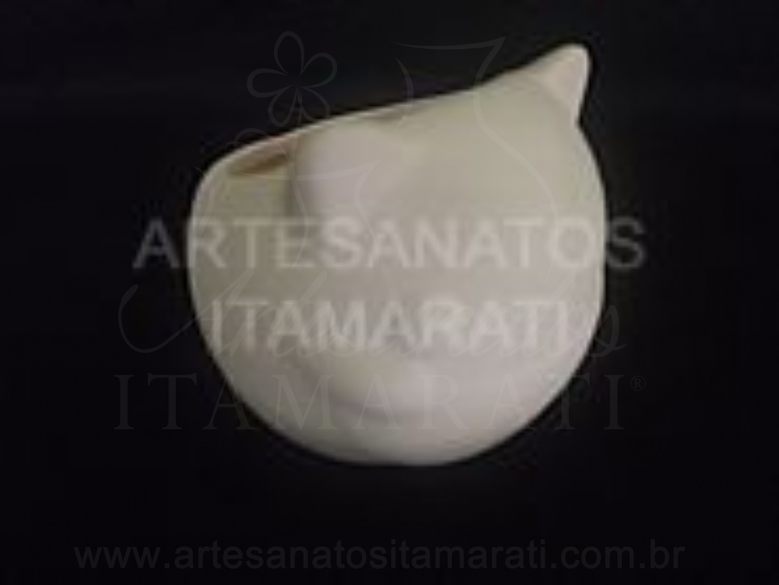 Gato Suculenta